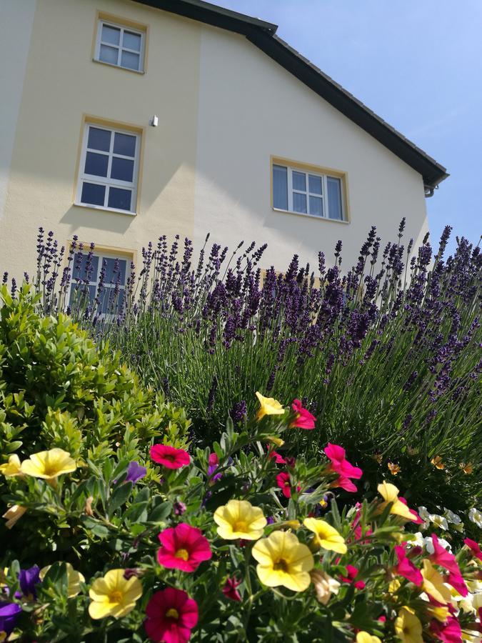 Hotel & Restaurant Bergfried Saalfeld Saale 外观 照片