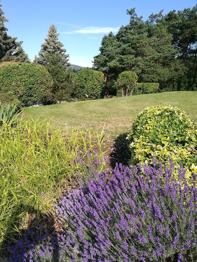 Hotel & Restaurant Bergfried Saalfeld Saale 外观 照片