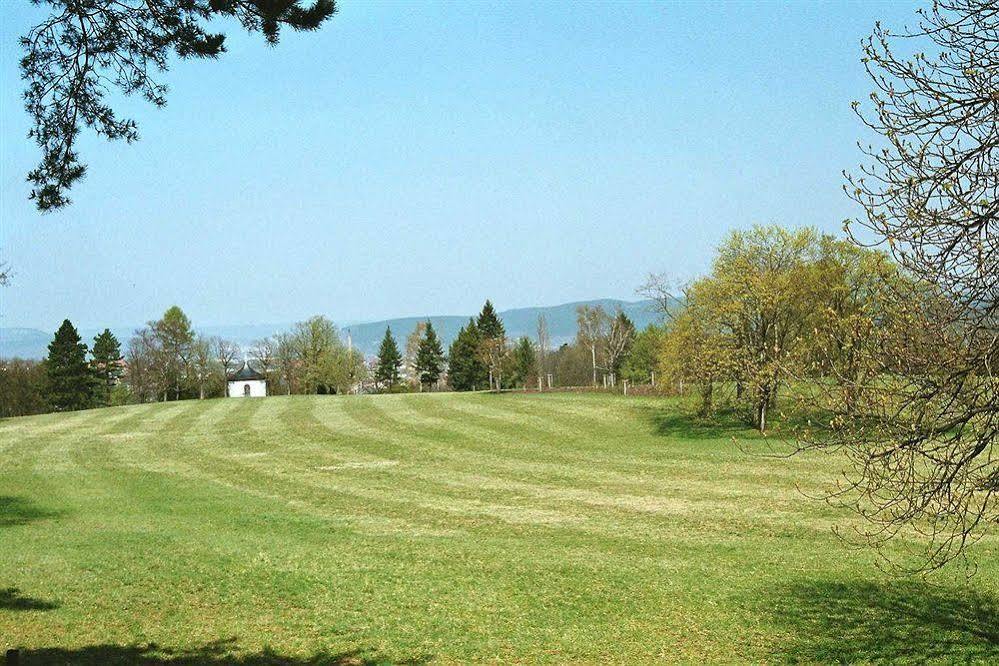 Hotel & Restaurant Bergfried Saalfeld Saale 外观 照片